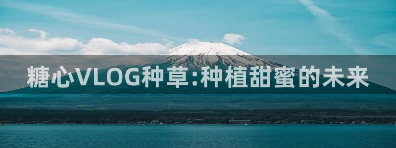 糖心成年版糖心vlog葫芦：糖心VLOG种草:种植甜蜜的未来