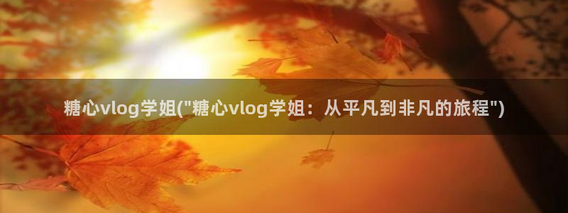 糖心vlog网盘：糖心vlog学姐(\