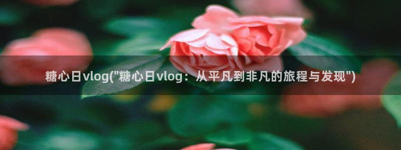 糖心vlog中国：糖心日vlog(\