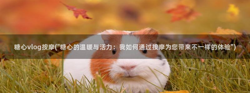 糖心vlog 软件功能：糖心vlog按摩(\