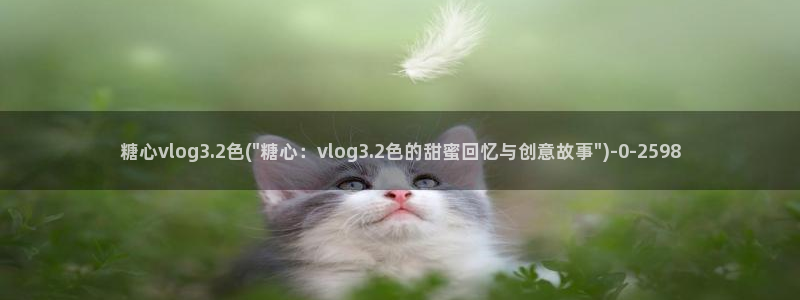 TS糖心vlog