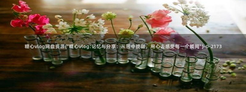 糖心vlog下载途径