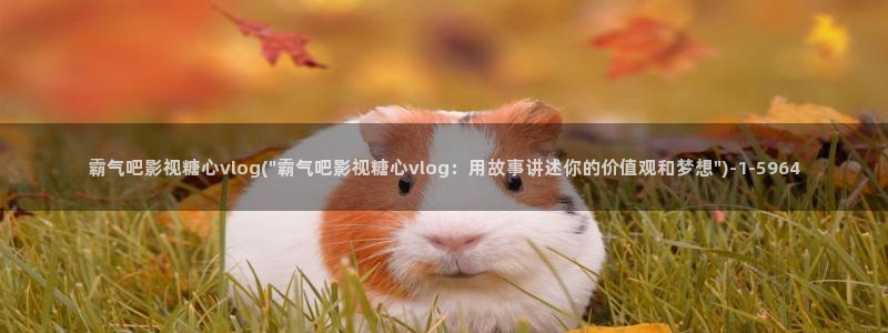 打电话糖心vlog