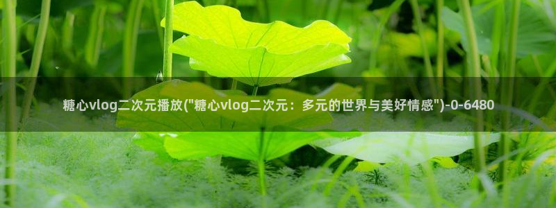 糖心vlog激活码卡密