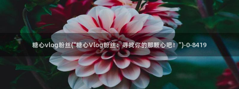 糖心vlog在线晚晚