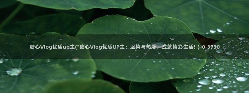 糖心vlog舒怡：糖心Vlog优质up主(\