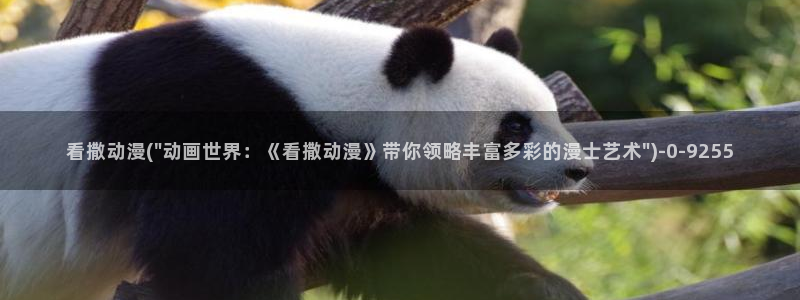 动漫卡通：看撒动漫(\