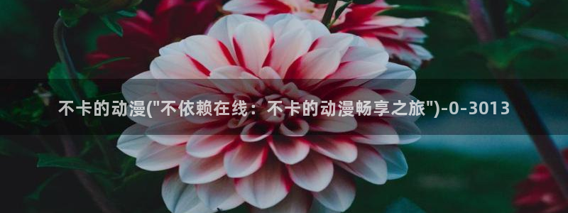 动漫巴士：不卡的动漫(\