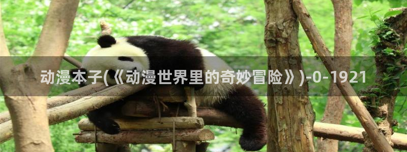 动漫人物图片大全：动漫本子(《动漫世界里的奇妙冒险》)