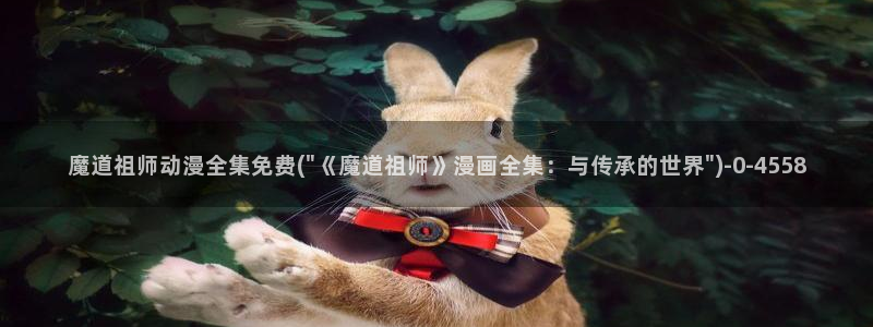 看动漫