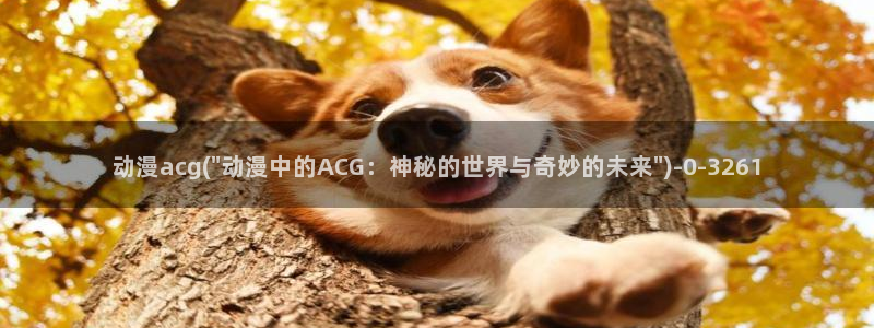 k动漫