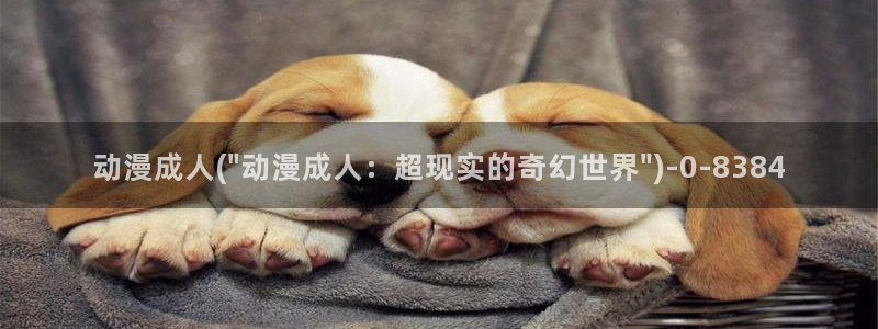 斗罗大陆动漫免费观看